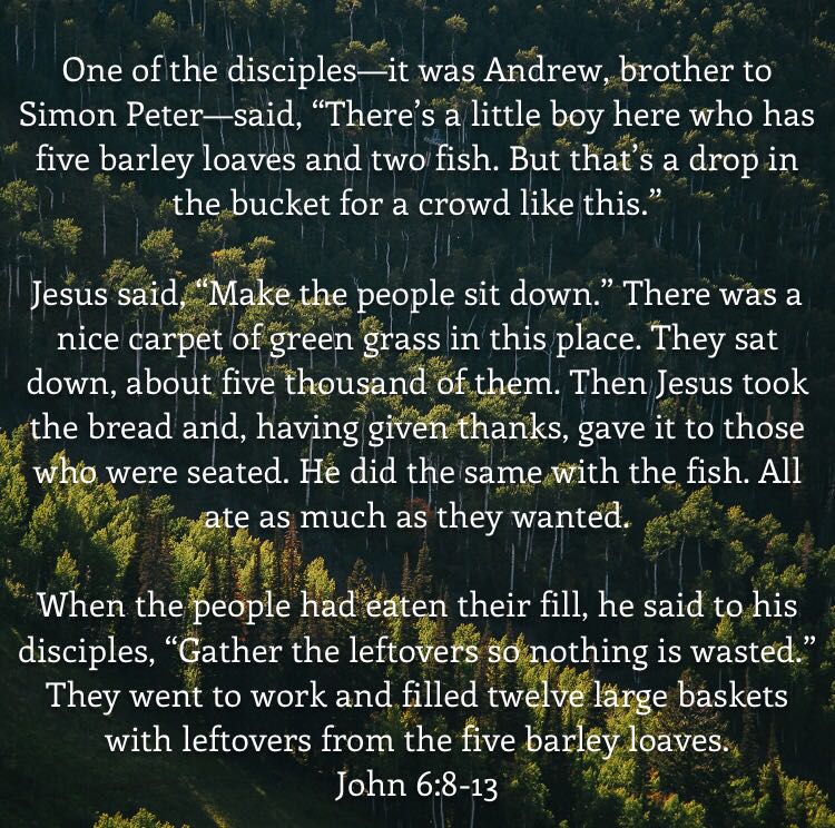 Then Jesus took the bread and having given thanks, gave it to all those who were seated. He did the same with the fish. All ate as much as they wanted. - John 6:8-13