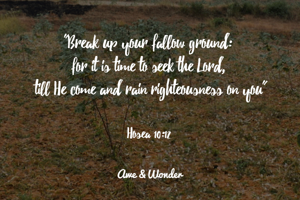 Break up your fallow ground; for it is time to seek the Lord, till He comes and rain righteousness on you - Hosea 10:12