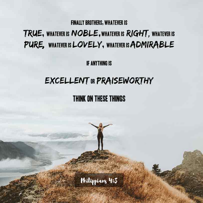 Finally, brothers and sisters, whatever is true, whatever is noble, whatever is right, whatever is pure, whatever is lovely, whatever is admirable—if anything is excellent or praiseworthy—think about such things. - Philippians 4:8