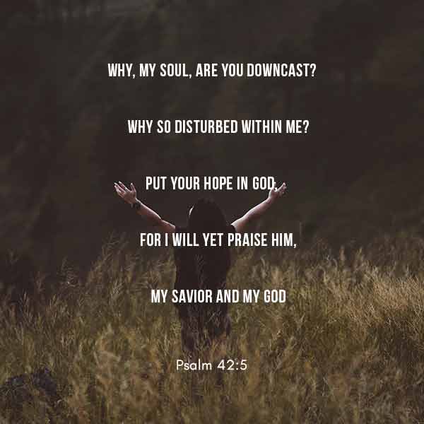Why my soul are you downcast? Why so disturbed within me? Put your hoe in God. - Psalm 42:5