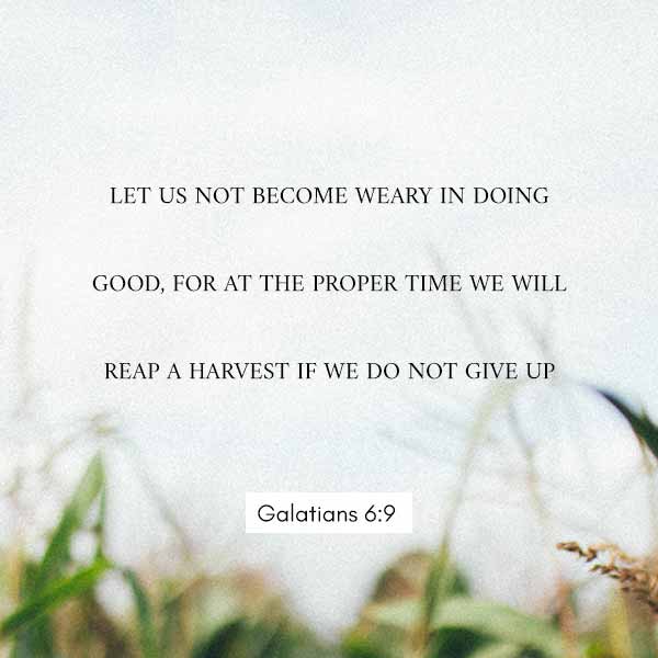 Let us not become weary in doing good, for at the proper time we will reap a harvest if we do not give up - Galatians 6:9