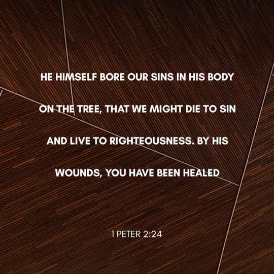 He Himself bore our sins in His body on the tree, that we might die to sin and live to righteousness. By His would, you have been healed. - 1 Peter 2:24