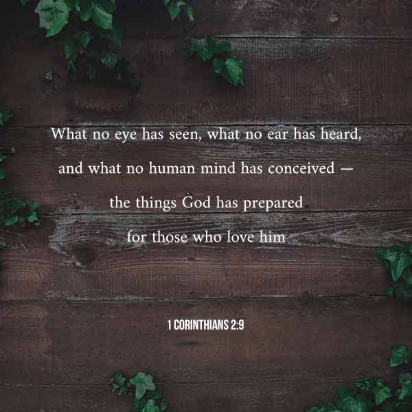 What no eye has seen, what no ear has heard, and what no human mind has conceived - the things God has prepared for those who love Him - 1 Corinthians 2:9