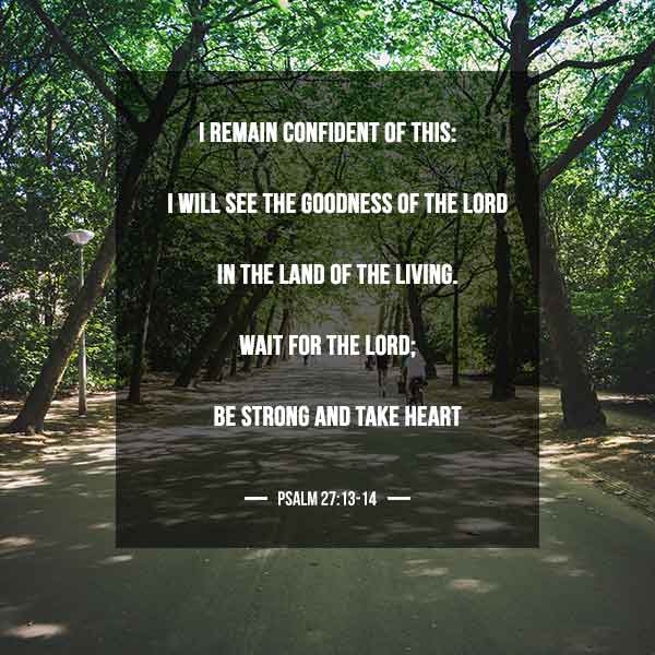 I remain confident of this: I will see the goodness of the Lord in the land of the living. Wait for the Lord, be strong and take heart - Psalm 27:13-14