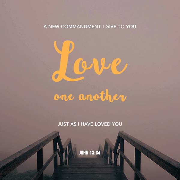 A new commandment I give to you. Love one another just as I have loved you. - John 13:34
