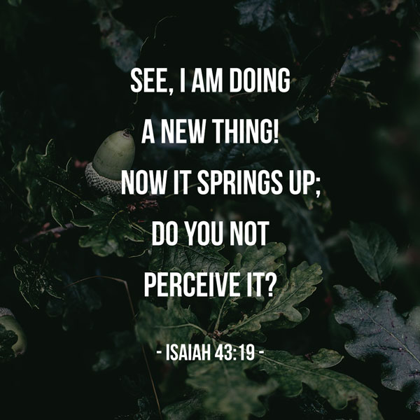 See, I am doing a new thing! Now it springs up; do you not perceive it? I am making a way in the wilderness and streams in the wasteland. - Isaiah 43:19