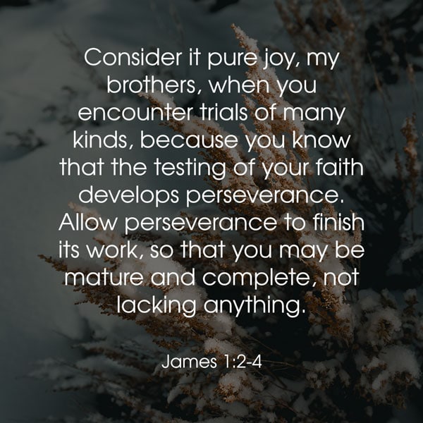Consider it pure joy, my brothers, when you encounter trials of many kinds, because you know that the testing of your faith develops perseverance. Allow perseverance to finish its work, so that you may be mature and complete, not lacking anything. - James 1:2-4