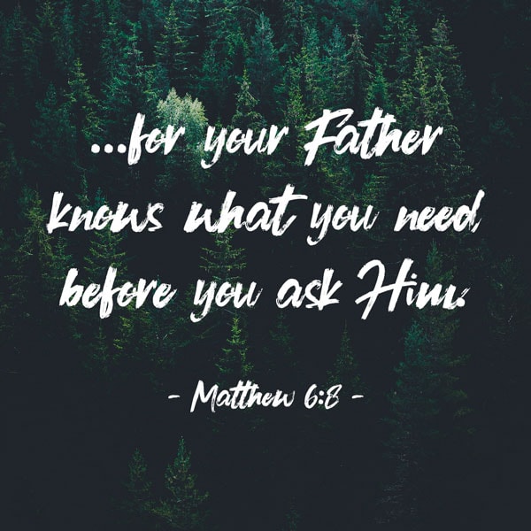 Do not be like them, for your Father knows what you need before you ask him. - Matthew 6:8