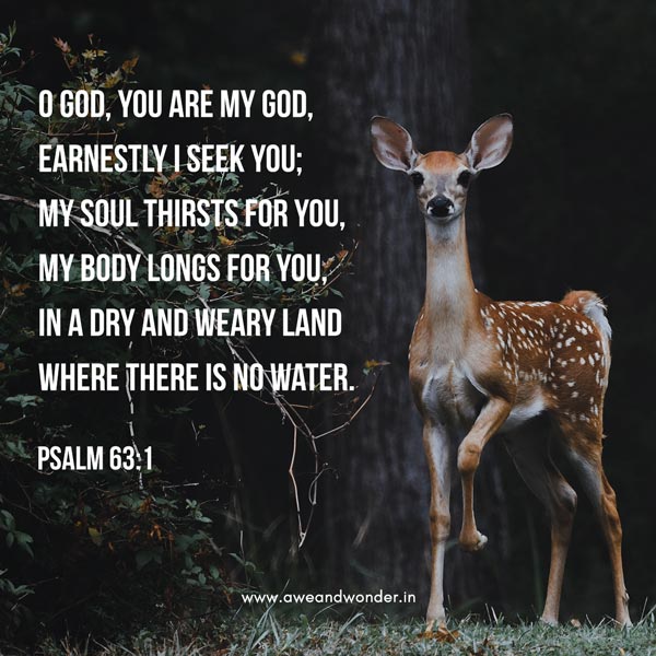 O God, you are my God, earnestly I seek you; my soul thirsts for you, my body longs for you, in a dry and weary land where there is no water. - Psalm 63:1