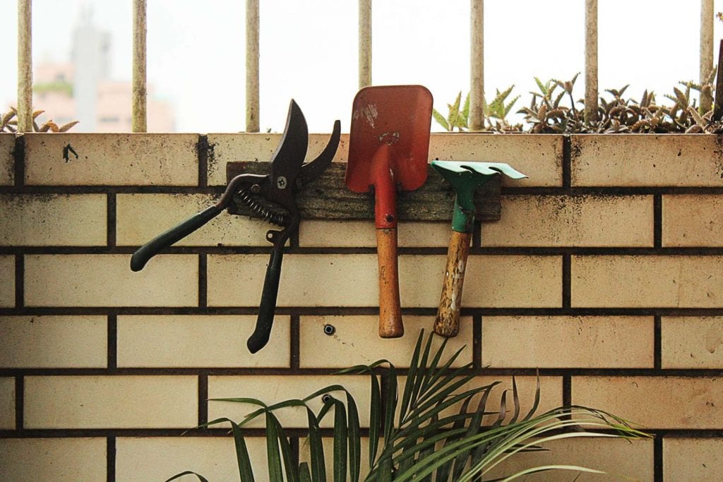 gardening The side of mercy you may not have known