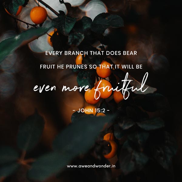 He cuts off every branch in me that bears no fruit, while every branch that does bear fruit he prunes so that it will be even more fruitful. - John 15:2