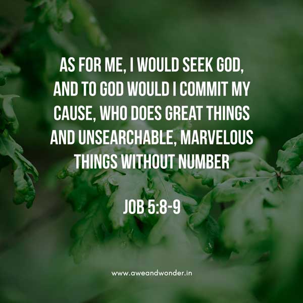 “As for me, I would seek God, and to God would I commit my cause, who does great things and unsearchable, marvelous things without number - Job 5:8-9