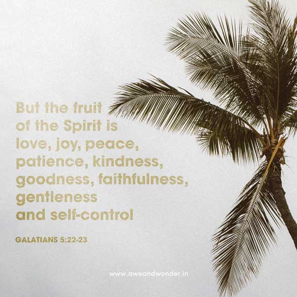 But the fruit of the Spirit is love, joy, peace, forbearance, kindness, goodness, faithfulness, gentleness and self-control. Against such things there is no law. - Galatians 5:22-23