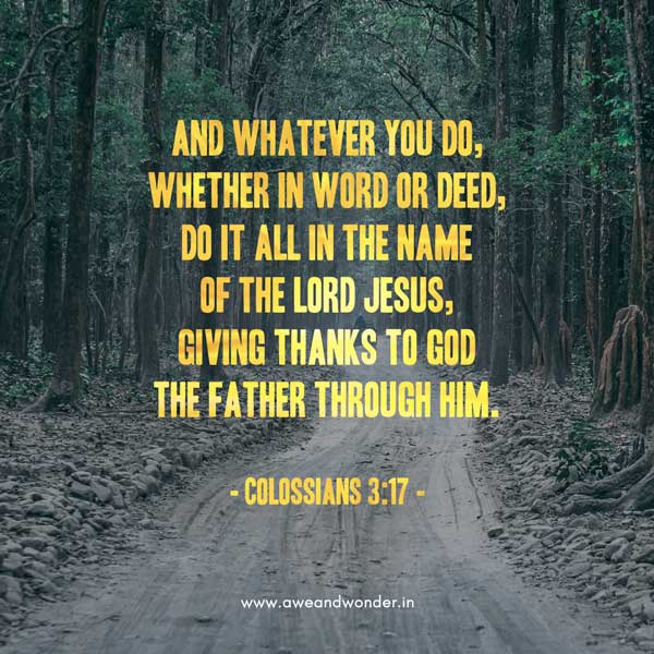And whatever you do, whether in word or deed, do it all in the name of the Lord Jesus, giving thanks to God the Father through him. - Colossians 3:17