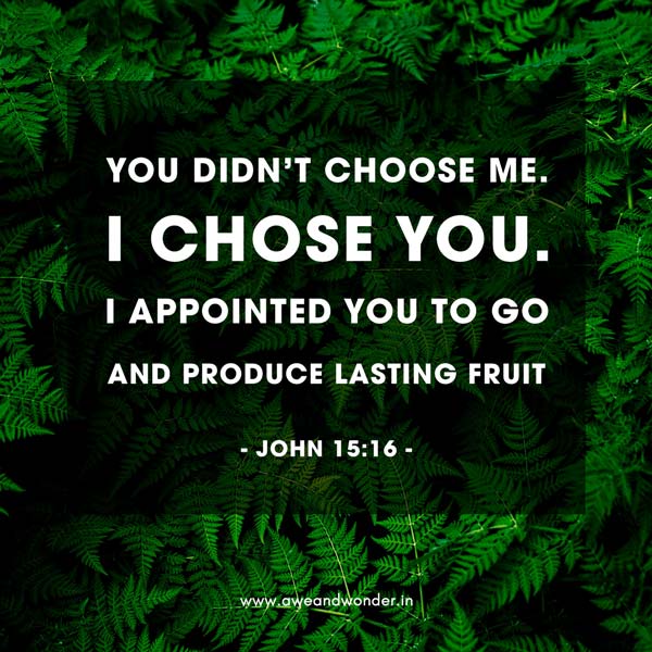 You did not choose me, but I chose you and appointed you so that you might go and bear fruit--fruit that will last--and so that whatever you ask in my name the Father will give you. - John 15:16