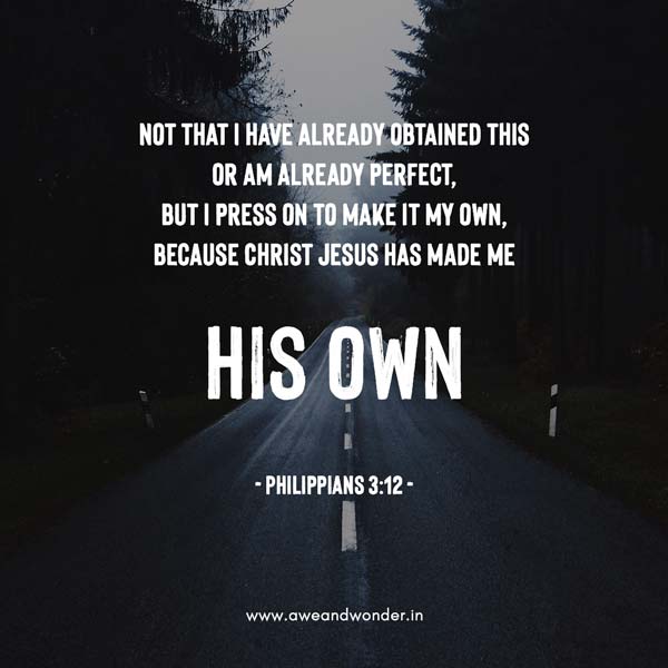 Not that I have already obtained all this, or have already arrived at my goal, but I press on to take hold of that for which Christ Jesus took hold of me. - Philippians 3:12