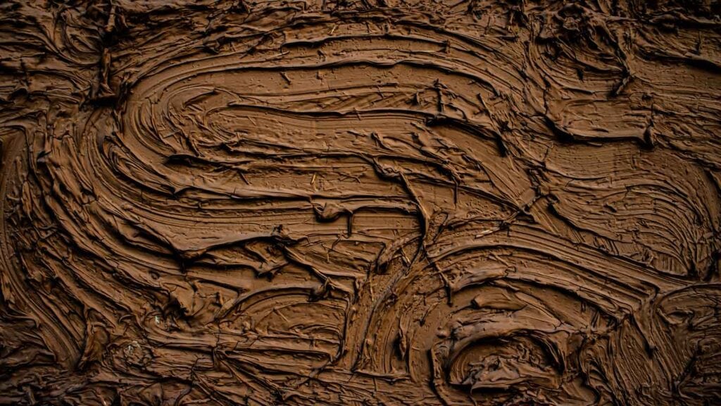 miracles in the mud