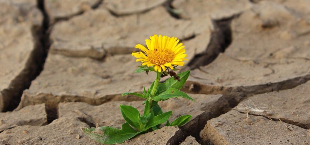 I came to Jesus and my troubles began