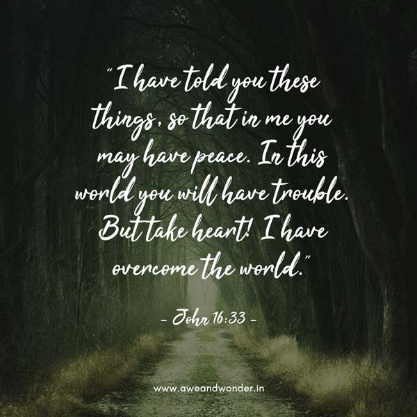 “I have told you these things, so that in me you may have peace. In this world you will have trouble. But take heart! I have overcome the world.” - John 16:33
