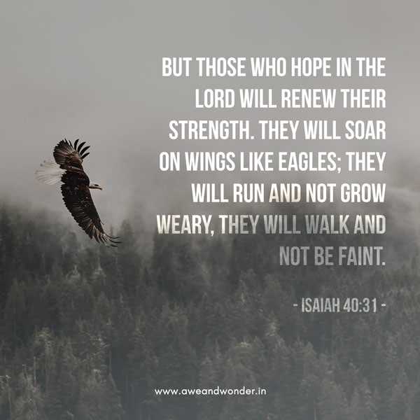 But those who hope in the Lord will renew their strength. They will soar on wings like eagles; they will run and not grow weary, they will walk and not be faint. - Isaiah 40:31