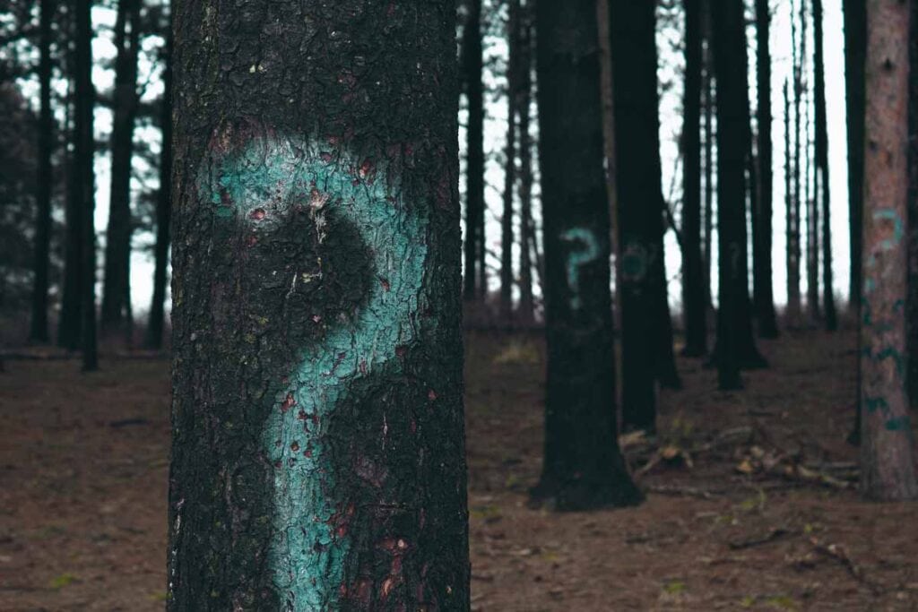Questions for God