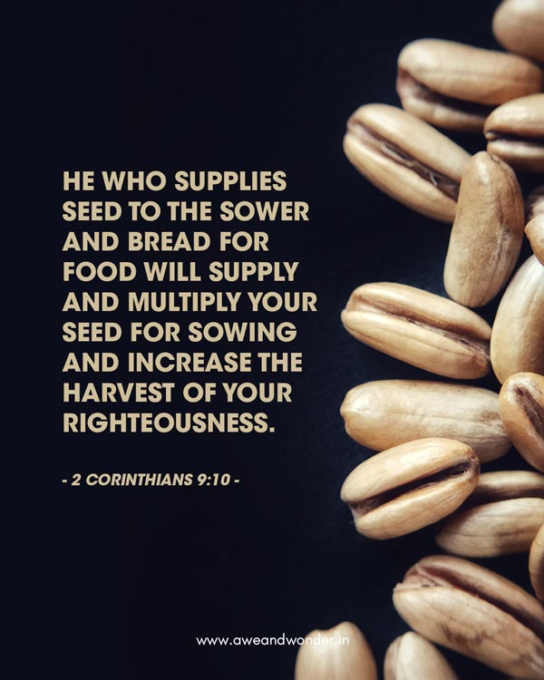He who supplies seed to the sower and bread for food will supply and multiply your seed for sowing and increase the harvest of your righteousness. - 2 Corinthians 9:10