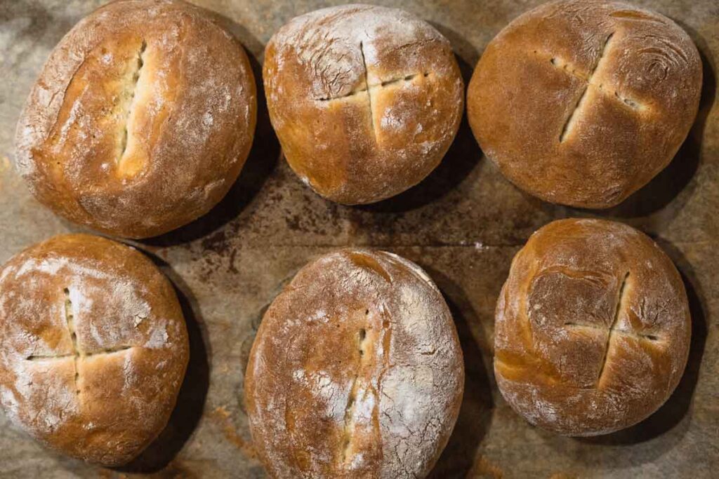 Jesus multiplies the bread and fish and feeds over five thousand in the Gospel of John