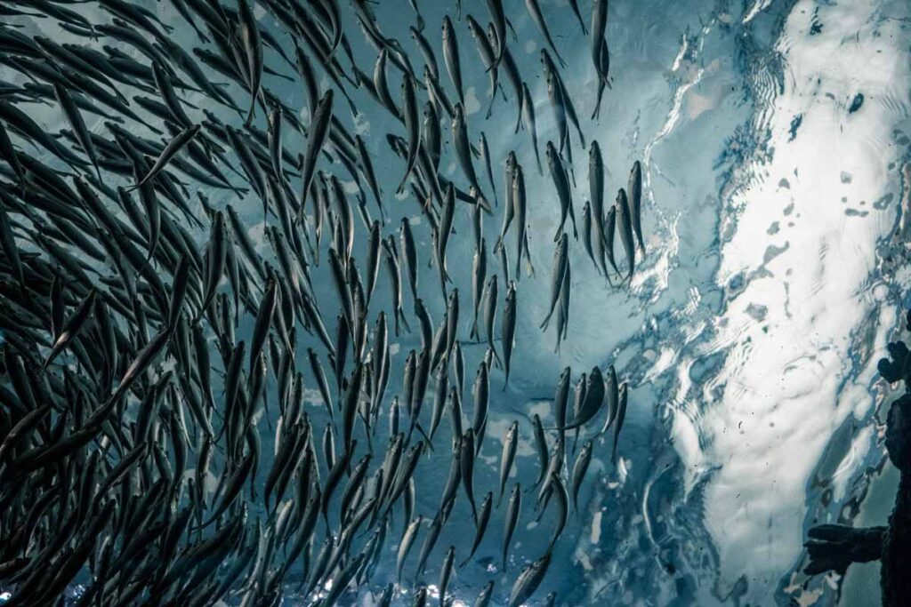leaving the abundance behind