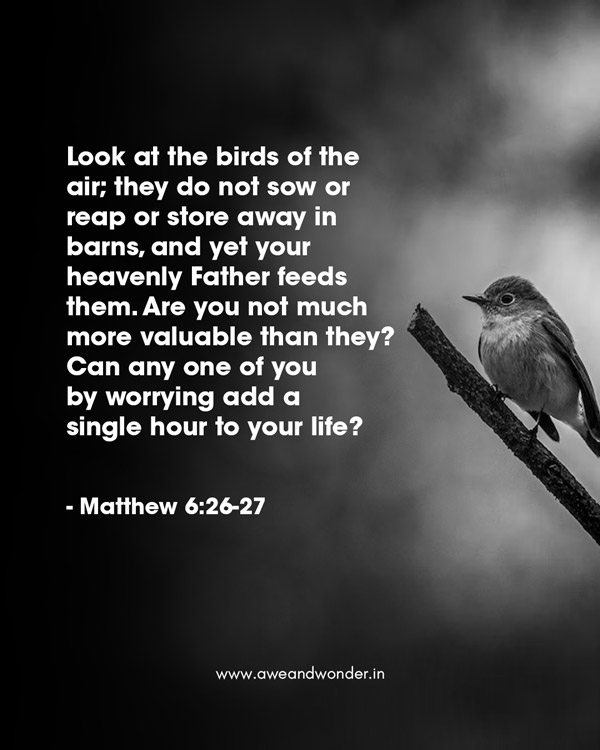Look at the birds of the air; they do not sow or reap or store away in barns, and yet your heavenly Father feeds them. Are you not much more valuable than they?  Can any one of you by worrying add a single hour to your life? - Matthew 6:26-37