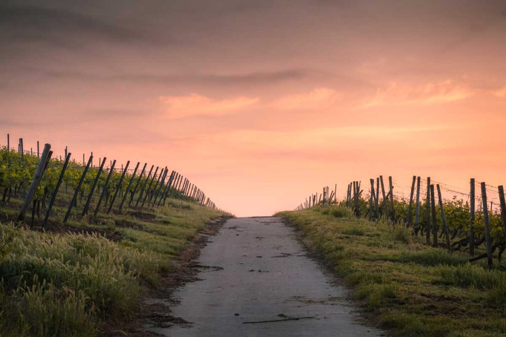 A way out of difficult situations