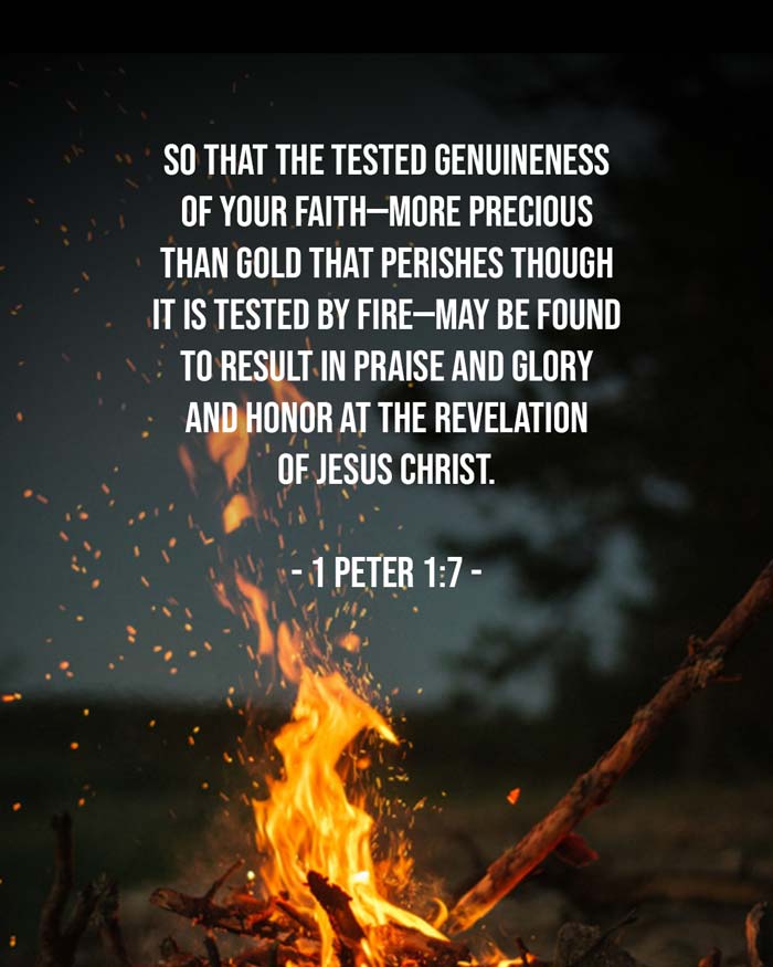 So that the tested genuineness
of your faith—more precious
than gold that perishes though
it is tested by fire—may be found
to result in praise and glory
and honor at the revelation
of Jesus Christ.

- 1 Peter 1:7 