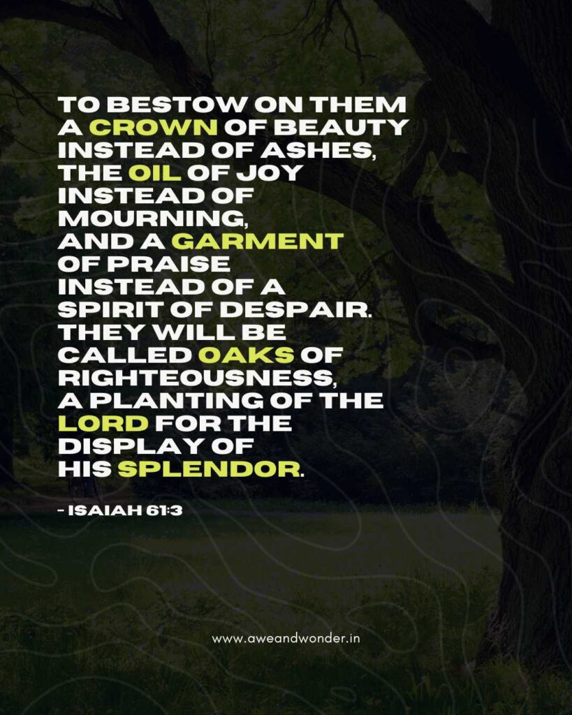  and provide for those who grieve in Zion—
to bestow on them a crown of beauty
    instead of ashes,
the oil of joy
    instead of mourning,
and a garment of praise
    instead of a spirit of despair.
They will be called oaks of righteousness,
    a planting of the Lord
    for the display of his splendor. - Isaiah 61:3