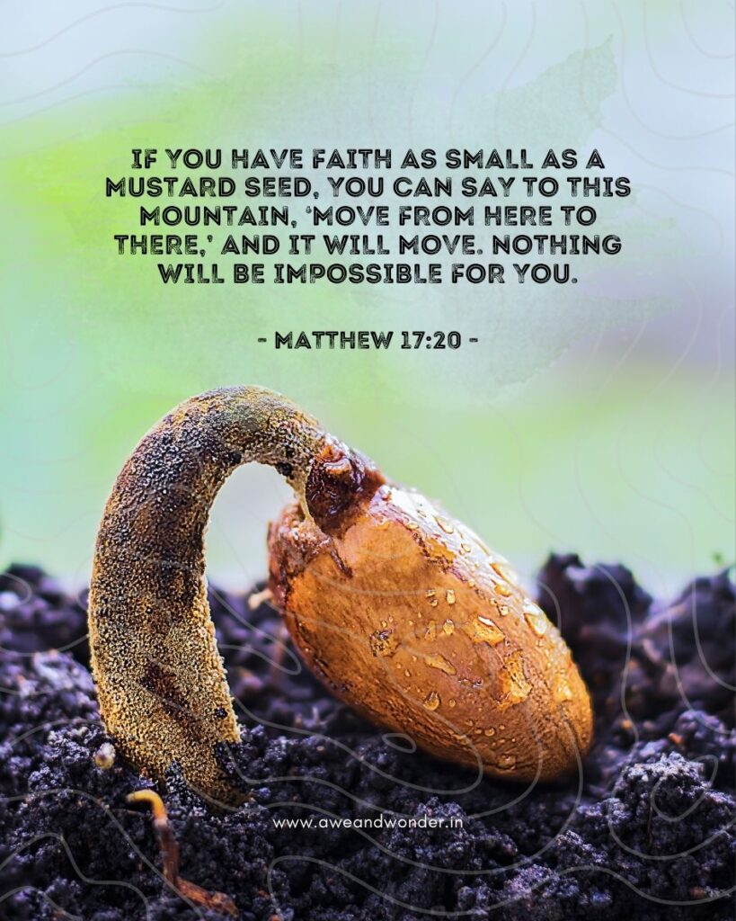 He replied, “Because you have so little faith. Truly I tell you, if you have faith as small as a mustard seed, you can say to this mountain, ‘Move from here to there,’ and it will move. Nothing will be impossible for you.”
- Matthew 17:20